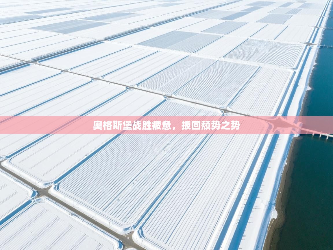 奥格斯堡战胜疲惫，扳回颓势之势  第2张