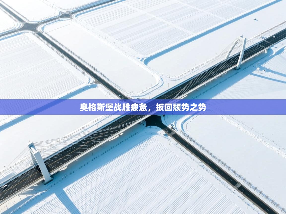 奥格斯堡战胜疲惫，扳回颓势之势  第1张